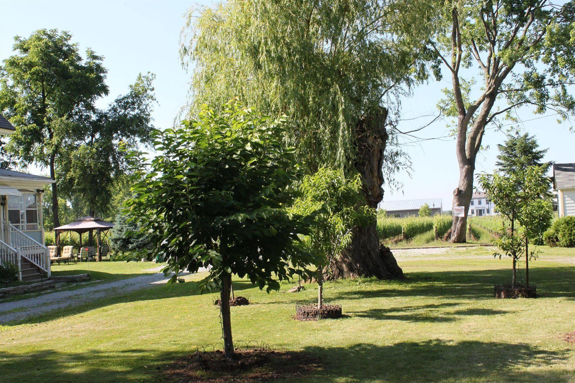 Green Oaks B&B Niagara-on-the-Lake Ngoại thất bức ảnh