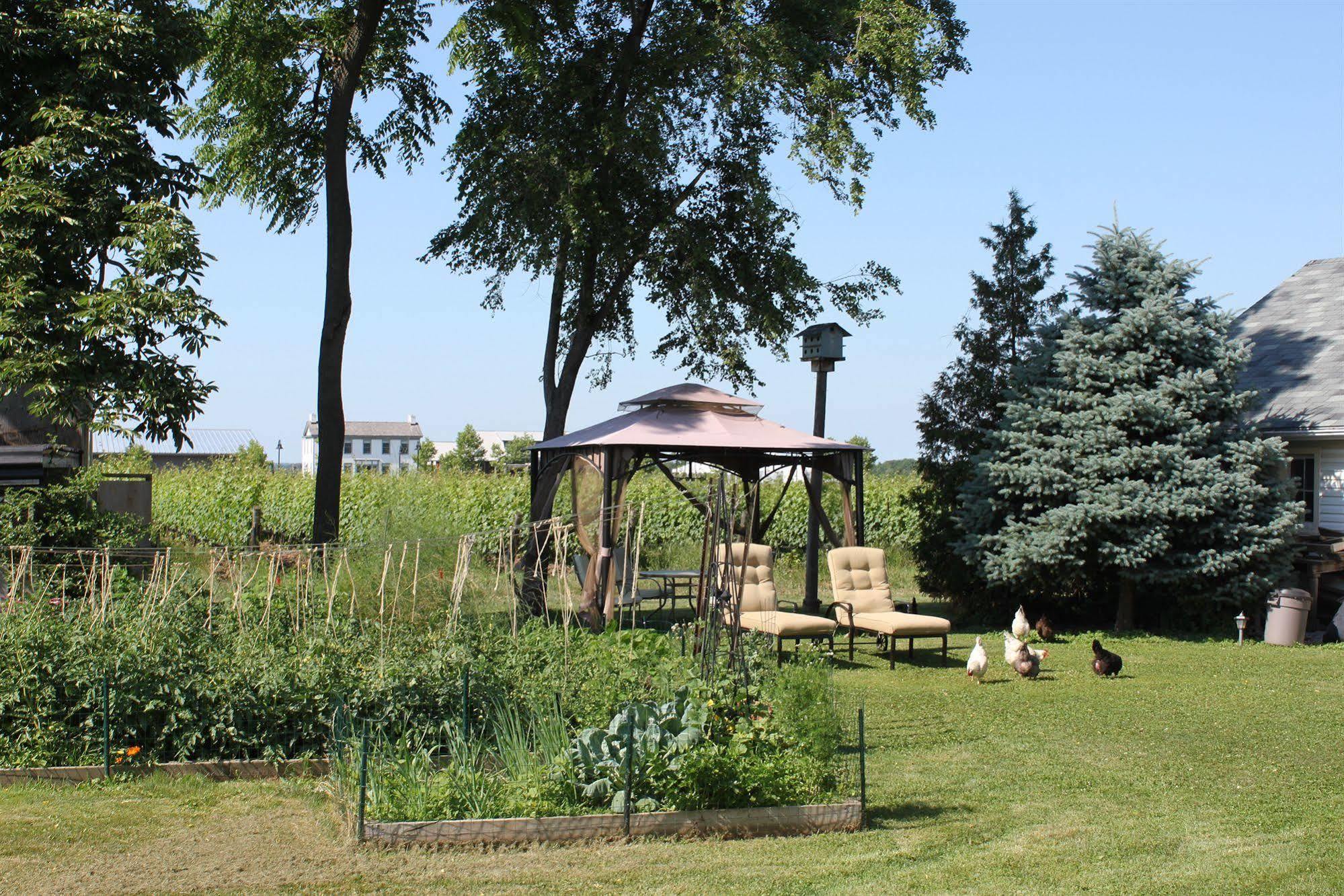Green Oaks B&B Niagara-on-the-Lake Ngoại thất bức ảnh